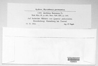 Image Associated With the Occurence